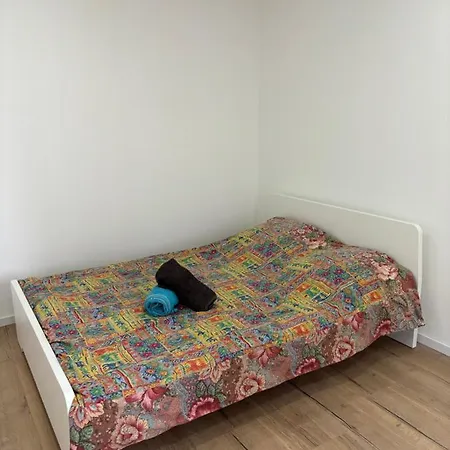 Le Cosy: Splendide 2 Pieces Apartamento Mulhouse